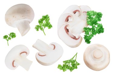 Beyaz arka planda izole edilmiş taze mantar şampiyonu. Üst Manzara. Düz yatıyordu.