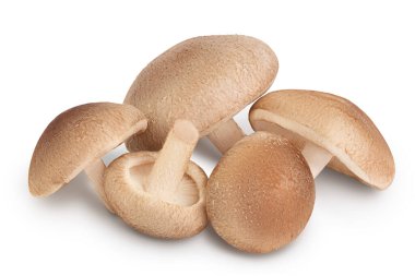 Taze Shiitake mantarı kırpma yolu ve tam derinlik ile beyaz arkaplanda izole edildi.