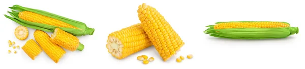 Ухо кукурузы изолированы на белом фоне. Путь обрезки и полная глубина поля. Набор или коллекция — стоковое фото