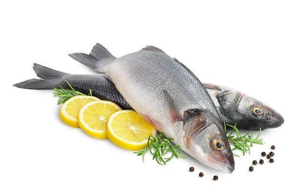 Sea bass fich isolated on white background with clipping path and full depth of field. — Stock Photo, Image