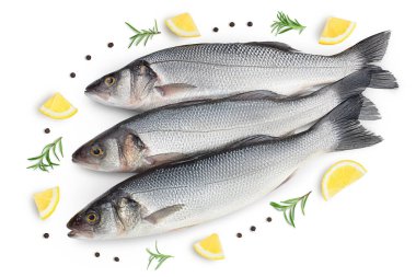Sea bass fich isolated on white background with clipping path. Top view. Flat lay clipart