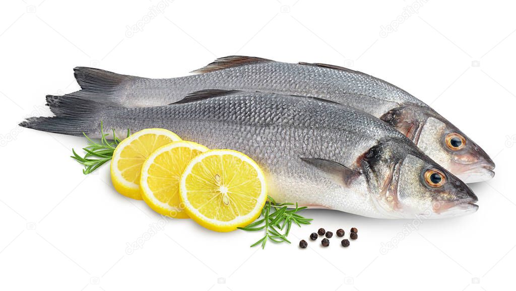 Sea bass fich isolated on white background with clipping path and full depth of field.