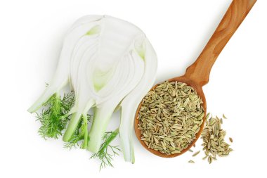 Beyaz arka planda tohum izole edilmiş taze rezene ampulü kırpma yolu ve tam derinlik. Üst Manzara. Düz yatıyordu