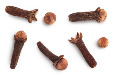 Kuru baharat karanfilleri kırpma yolu olan beyaz arkaplanda izole edilmiş. Üst Manzara. Düz yatıyordu