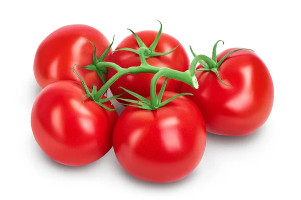 Ramo de tomate isolado em fundo branco com caminho de recorte e profundidade total de campo. — Fotografia de Stock