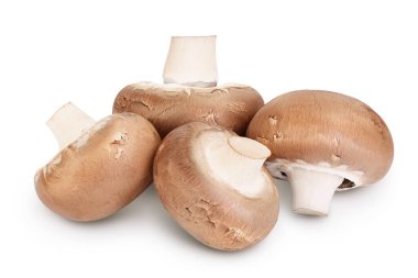 Royal Brown şampiyonu kırpma yolu ve tam derinlik alan ile beyaz arkaplanda izole