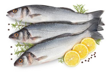 Sea bass fich isolated on white background with clipping path. Top view. Flat lay clipart