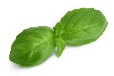 Taze fesleğen yaprağı beyaz arka planda izole edilmiş kırpma yolu ve tam derinlik. Üst Manzara. Düz yatıyordu