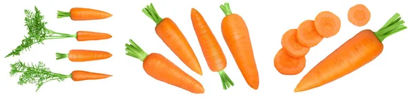 Carrot isolated on white background . Set or collection — Stock Photo, Image