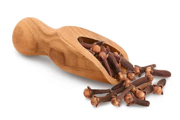 Dry spice cloves in wooden scoop isolated on white background with clipping path and full depth of field. — Stock Photo, Image