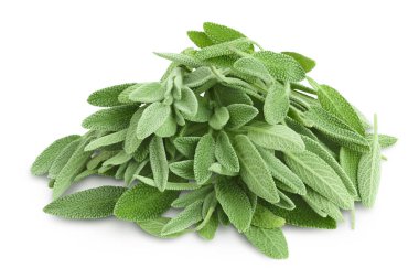 beyaz arka planda izole edilmiş taze adaçayı otu kırpma yolu ve tam derinlik