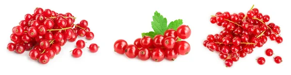 Rote Johannisbeeren mit Blatt isoliert auf weißem Hintergrund. Set oder Sammlung — Stockfoto