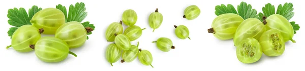 Green gooseberry isolated on white background. Set or collection — Stock Photo, Image