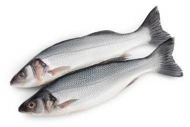 Deniz levreği, kırpma yolu ile beyaz arka planda izole edildi. Üst Manzara. Düz yatıyordu