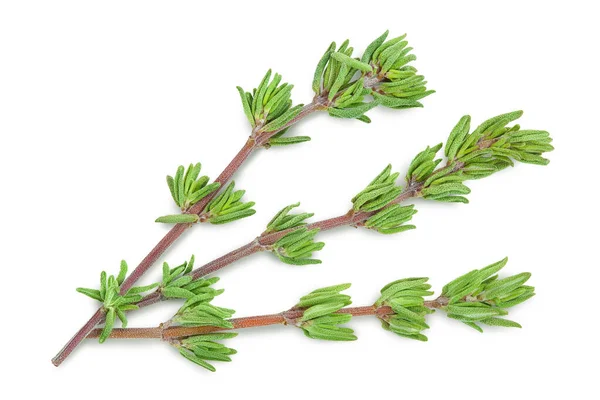 Thym frais isolé sur un fond blanc avec chemin de coupe et pleine profondeur de champ, vue de dessus. Pose plate — Photo