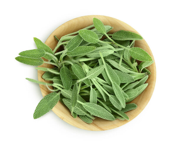 свежая трава шалфея в деревянной чаше изолированы на белом фоне с обрезкой пути и полной глубиной поля, вид сверху. Плоский лежал