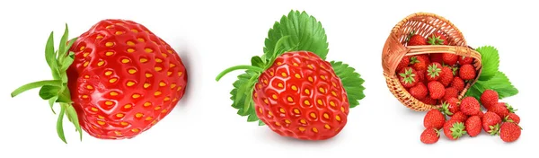 Φράουλα και μισή απομονωμένη σε λευκό φόντο. Φρέσκο μούρο με πλήρες βάθος πεδίου. Σύνολο ή συλλογή — Φωτογραφία Αρχείου