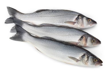 Deniz levreği, kırpma yolu ile beyaz arka planda izole edildi. Üst Manzara. Düz yatıyordu