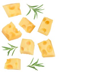 Beyaz arka planda izole edilmiş bir parça peynir. Metnin için kopyalama alanı olan üst görünüm. Düz yatıyordu