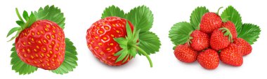 Çilekli ve beyaz arka planda yarı izole. Taze böğürtlen ve geniş bir alan. Ayarla ya da topla