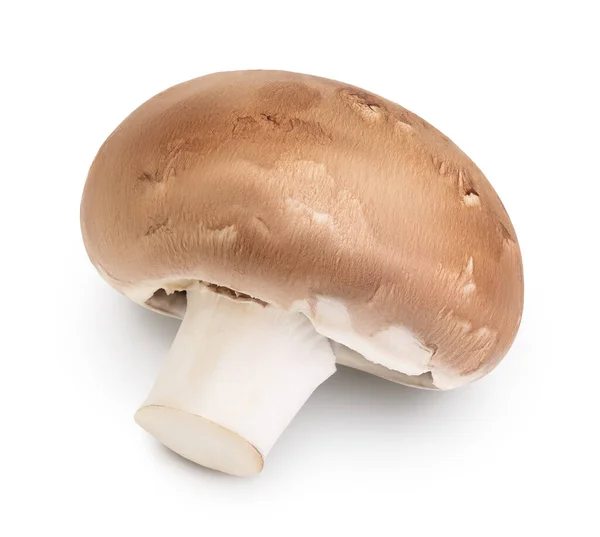 Champignon Royal Brown isolé sur fond blanc avec chemin de coupe et pleine profondeur de champ — Photo