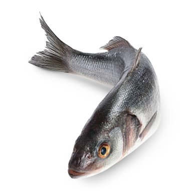 Sea bass fich isolated on white background with clipping path and full depth of field. clipart