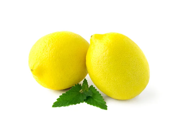 Two large yellow lemons — Stock Photo, Image