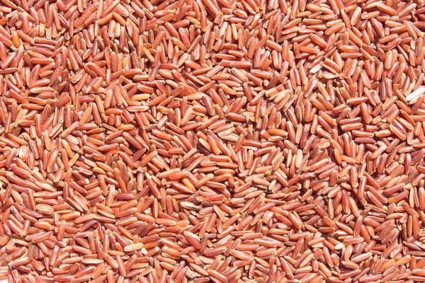 Предпосылки / контекст Grain brown rice . — стоковое фото
