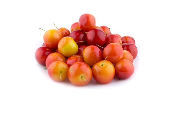 Cherry-plum terisolasi — Stok Foto