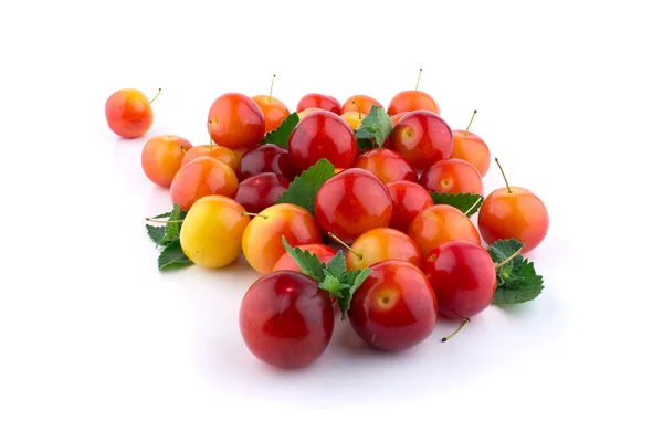 Cherry-plum terisolasi — Stok Foto