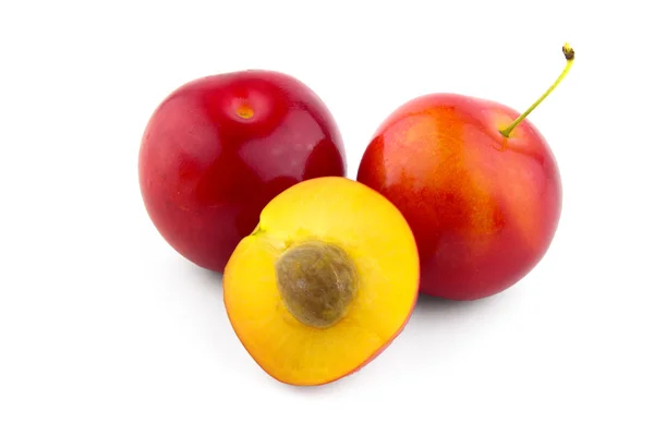 Cherry-plum isolated — Stock Photo, Image