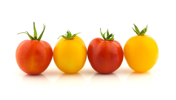 Photo of very fresh tomatoes — Stock Photo, Image