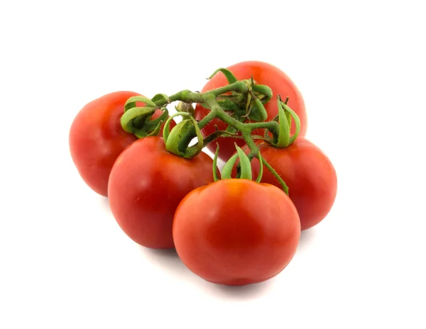 지점에 신선한 토마토 — 스톡 사진