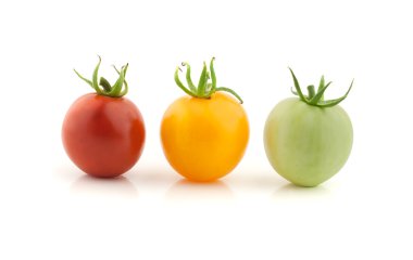 mature stages