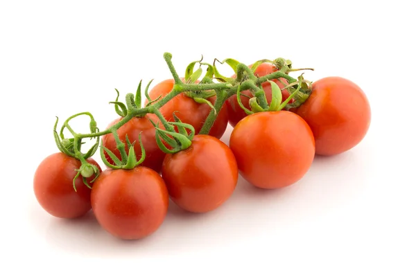 Fresh tomatoes on branch — Stock Photo, Image