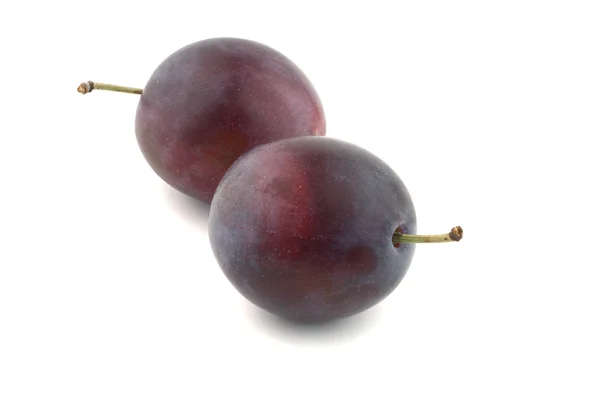 Two blue plums — 스톡 사진