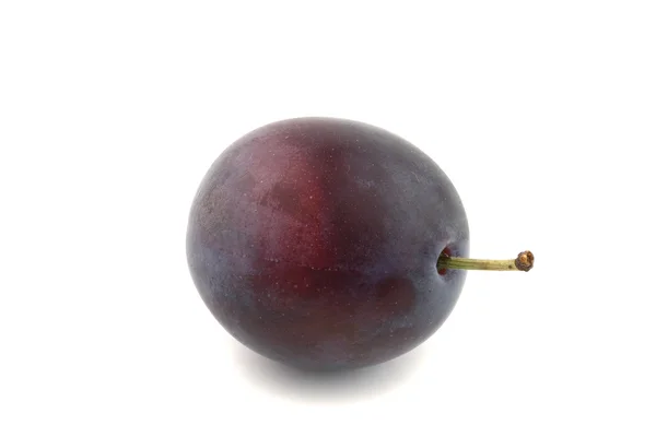 Une prune — Photo