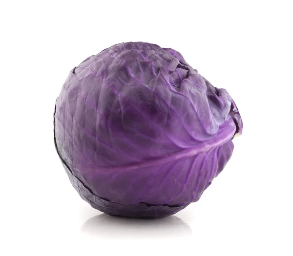 Red cabbage violet — 스톡 사진