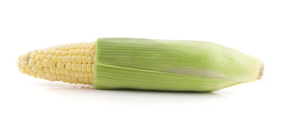 Corn sweetcorn — Stock Photo, Image