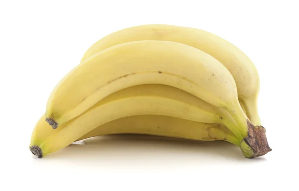 Bananenstrauß — Stockfoto