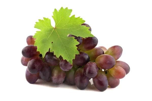 Стиглі червоного винограду — стокове фото