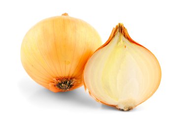 taze soğan Ampüller