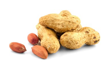 kurutulmuş fıstık