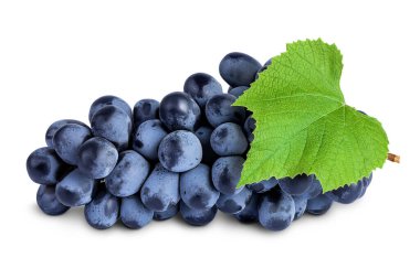 dark blue grape berry bunch isolated on white background.