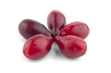 bir beyaz üzerine çilek kızılcık