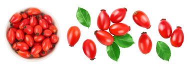 Seramik kasedeki gül kalça, beyaz arka planda izole edilmiş, geniş bir alana yayılmış. Üst Manzara. Düz yatıyordu