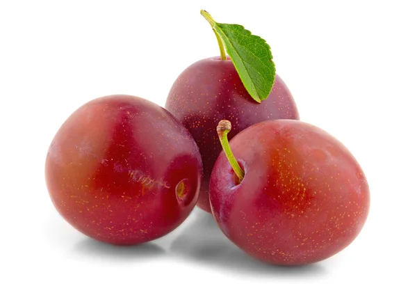 Fresh plums with leaf — Stock Photo, Image