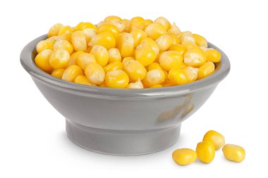 Seramik kasedeki mısır tohumları beyaz arka planda tam derinlikte izole edilmiş..