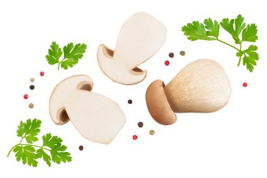 Beyaz arka planda izole edilmiş taze Porcini Sefer mantarı. Üst Manzara. Düz yatıyordu