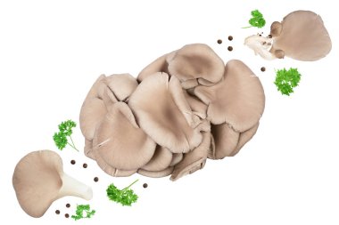 İstiridye mantarları beyaz arka planda tam derinlikte izole edilmiş..